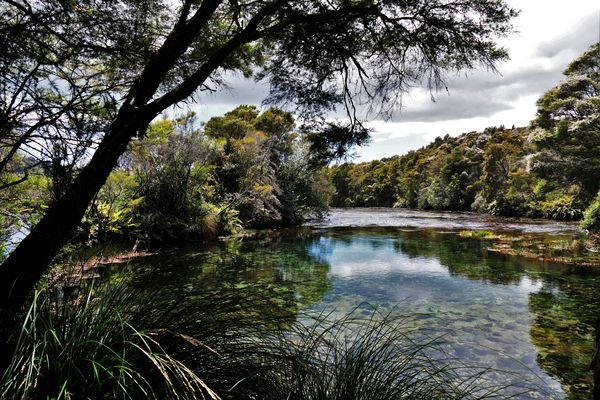 Einblick ins Paradies