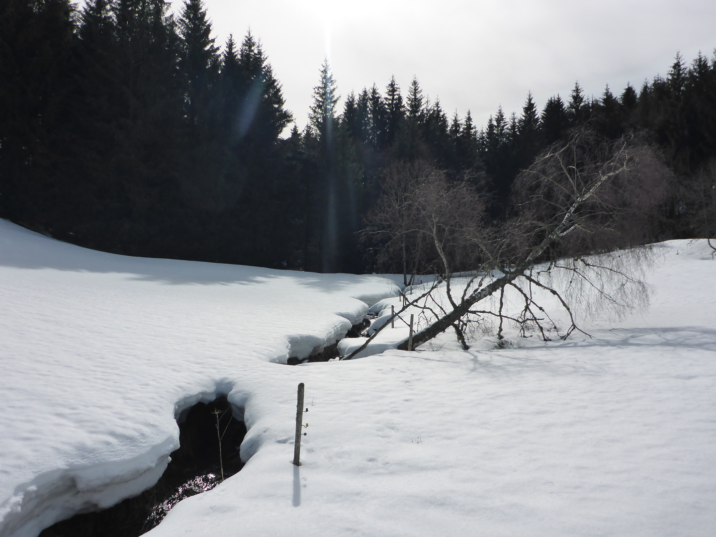 Einbruch dreifach - Licht, Baum, Bach