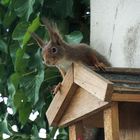 Einbruch / Hausfriedensbruch