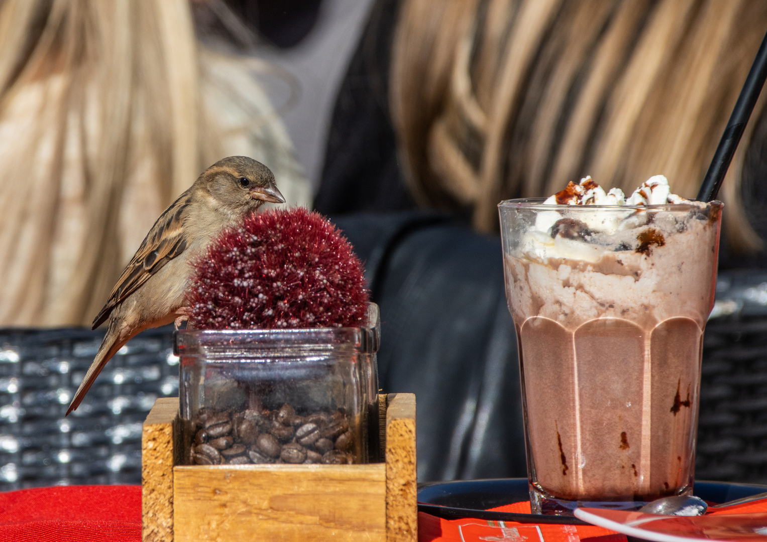 Eindeutig ein sächsischer Spatz - Kaffeeliebhaber