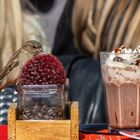 Eindeutig ein sächsischer Spatz - Kaffeeliebhaber