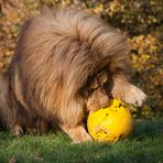 Eindeutig sein Ball;-)