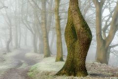 Eindeutig weiblich