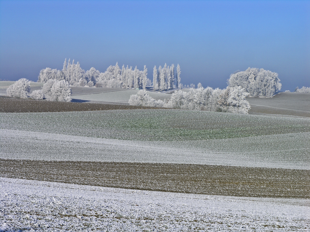 Eindeutig Winter