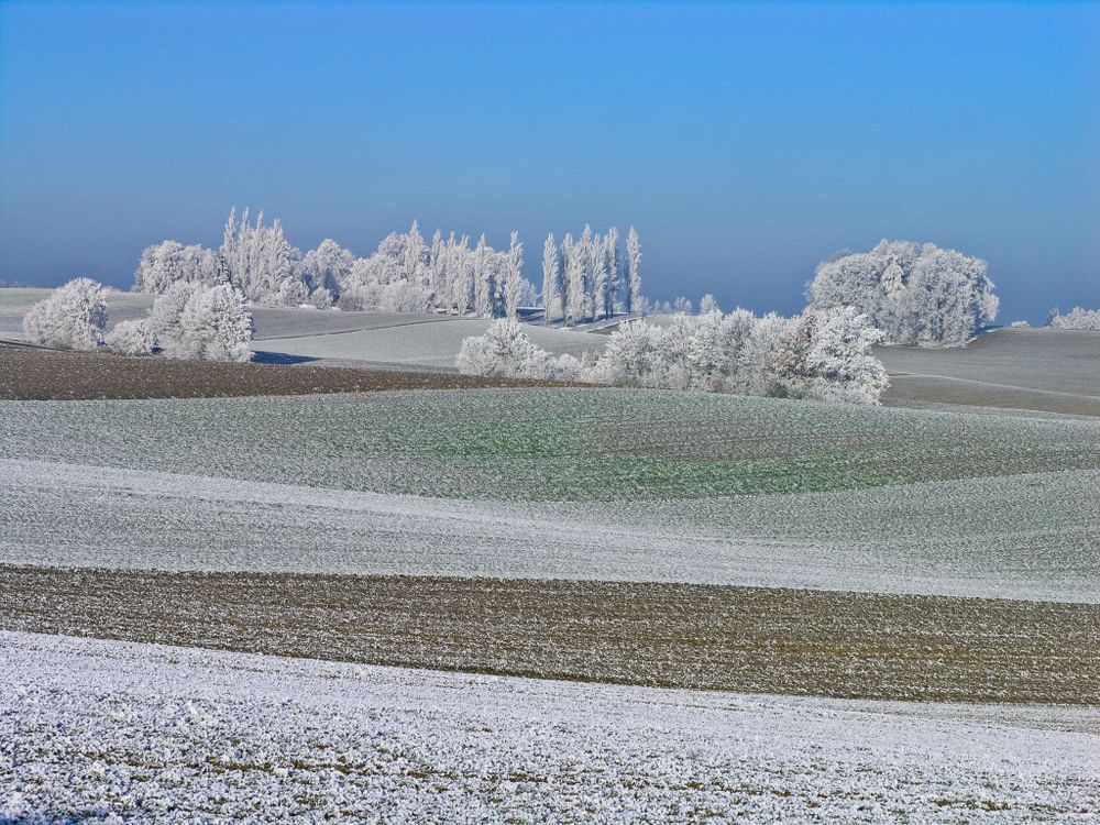 Eindeutig Winter