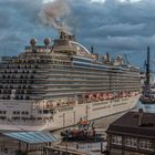 Eindocken der REGAL PRINCESS