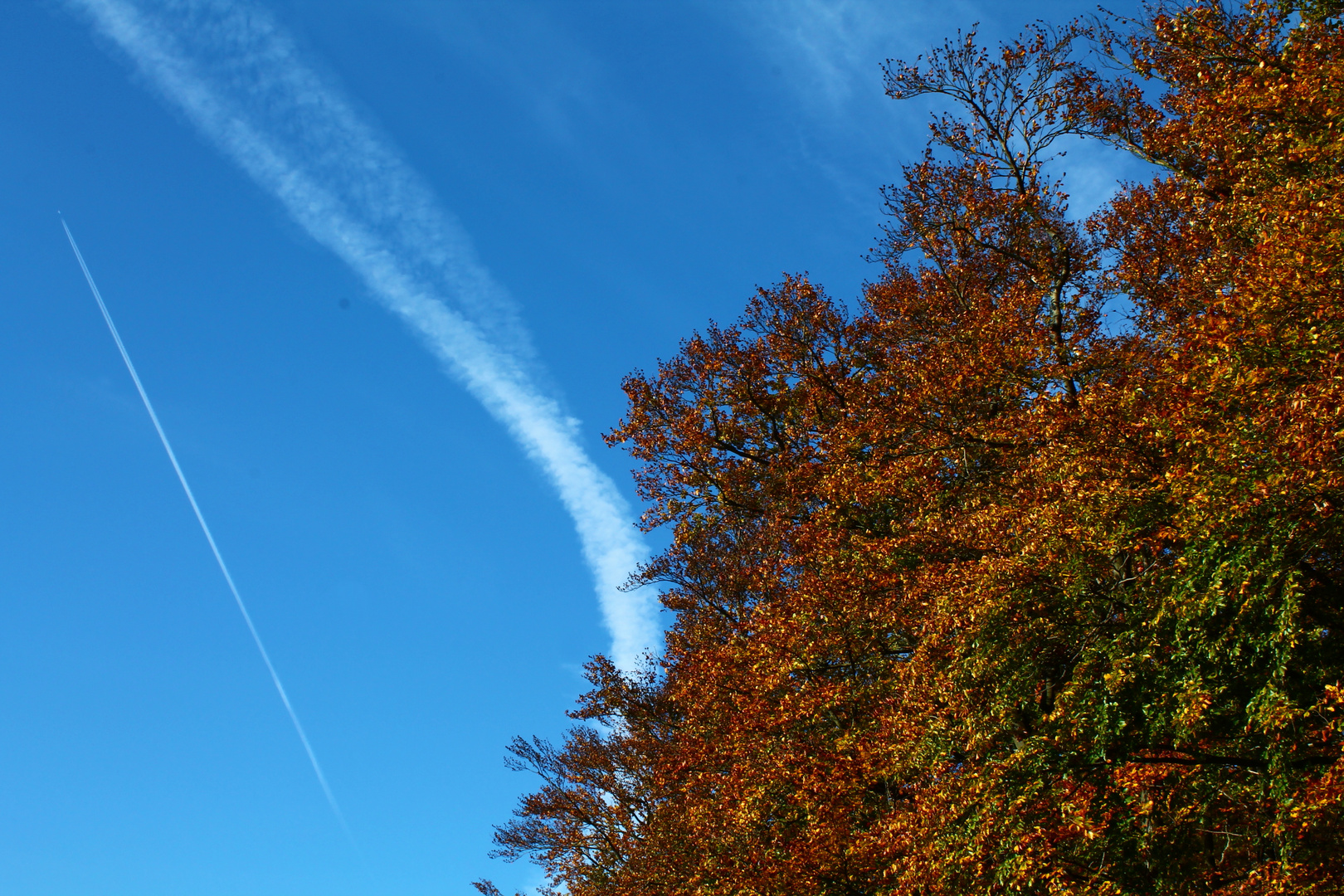 Eindringlinge am Herbsthimmel