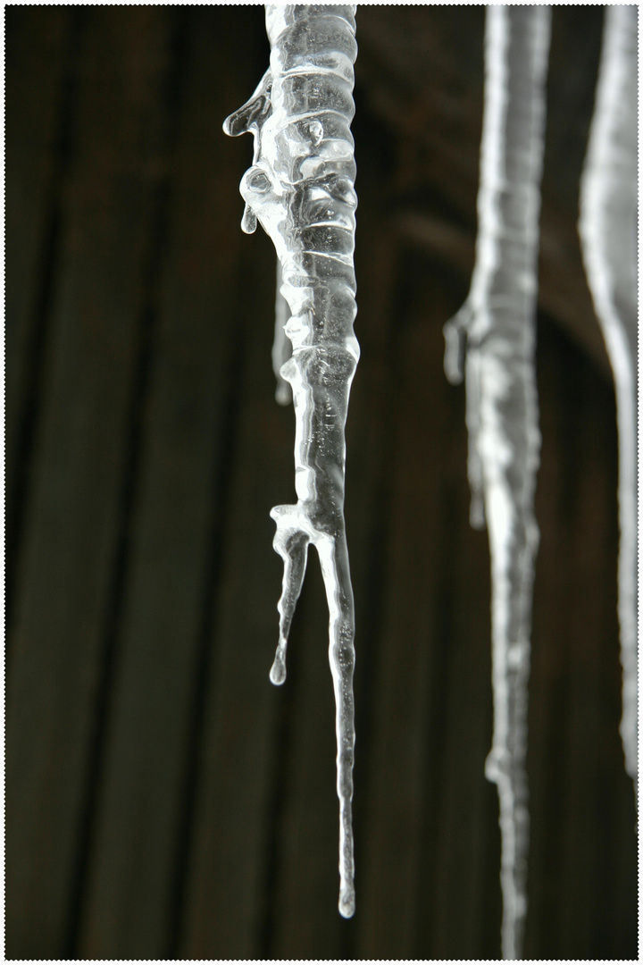 Eindrucksvolle Eiszapfen