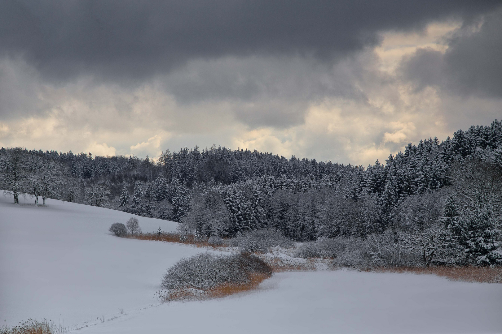 Eindrucksvolles Wintergrau