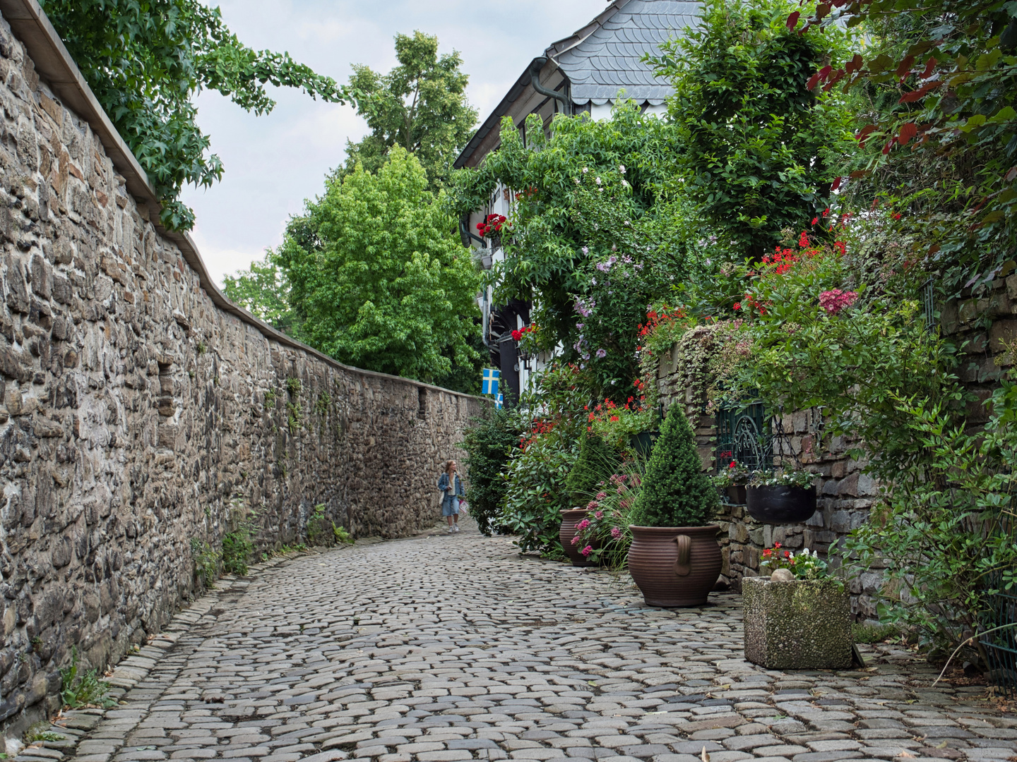 Eindrücke aus der Hattinger Altstadt (6)