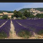 Eindrücke aus der Provence