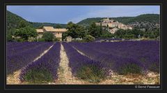 Eindrücke aus der Provence