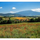 Eindrücke aus der Region Provence-Alpes-Côte d’Azur.