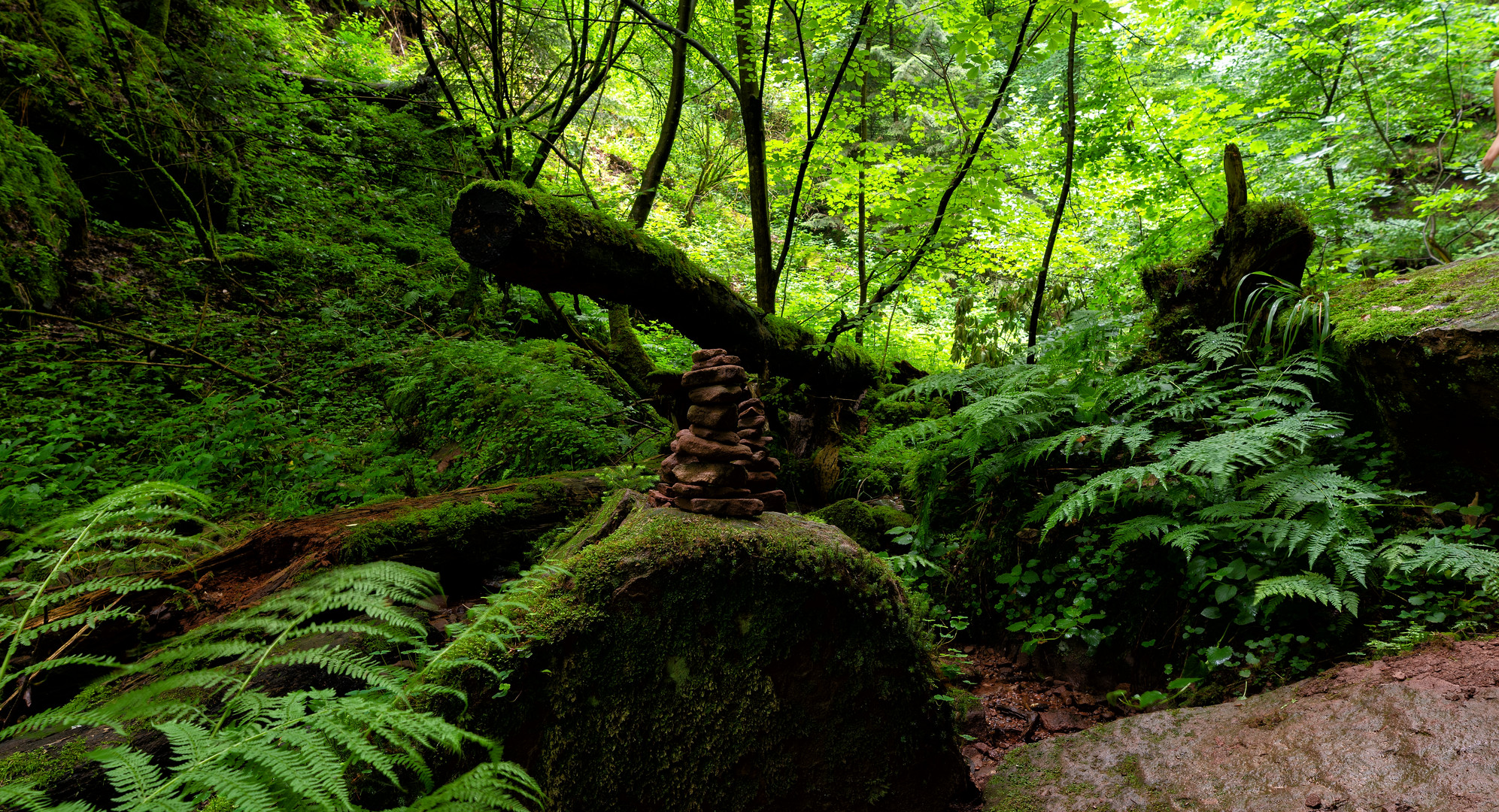 Eindrücke aus der Wolfsschlucht1