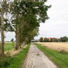 Eindrücke aus Friesland 3 Weg