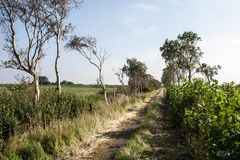 Eindrücke aus Friesland Landwirtschaftlicher Weg