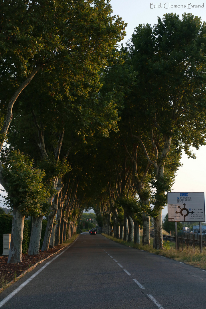 Eindrücke aus Limoux Südfrankreich VIII