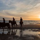 Eindrücke aus Nord - Holland, Strandausritt