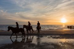 Eindrücke aus Nord - Holland, Strandausritt