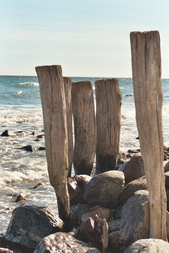 Eindrücke aus Rügen 3