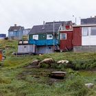 Eindrücke aus Upernavik - 3