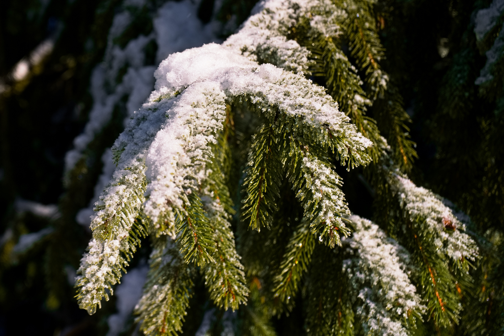 Eindrücke - Ein klarer Wintertag -