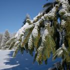 Eindrücke - Ein klarer Wintertag -