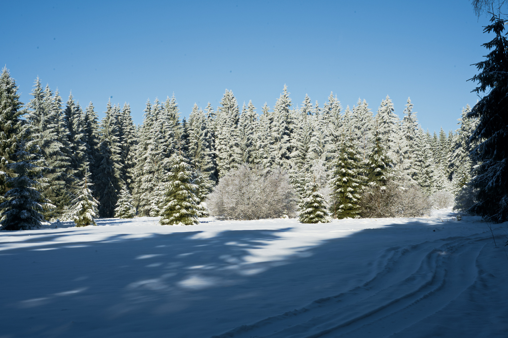 Eindrücke - Ein klarer Wintertag -