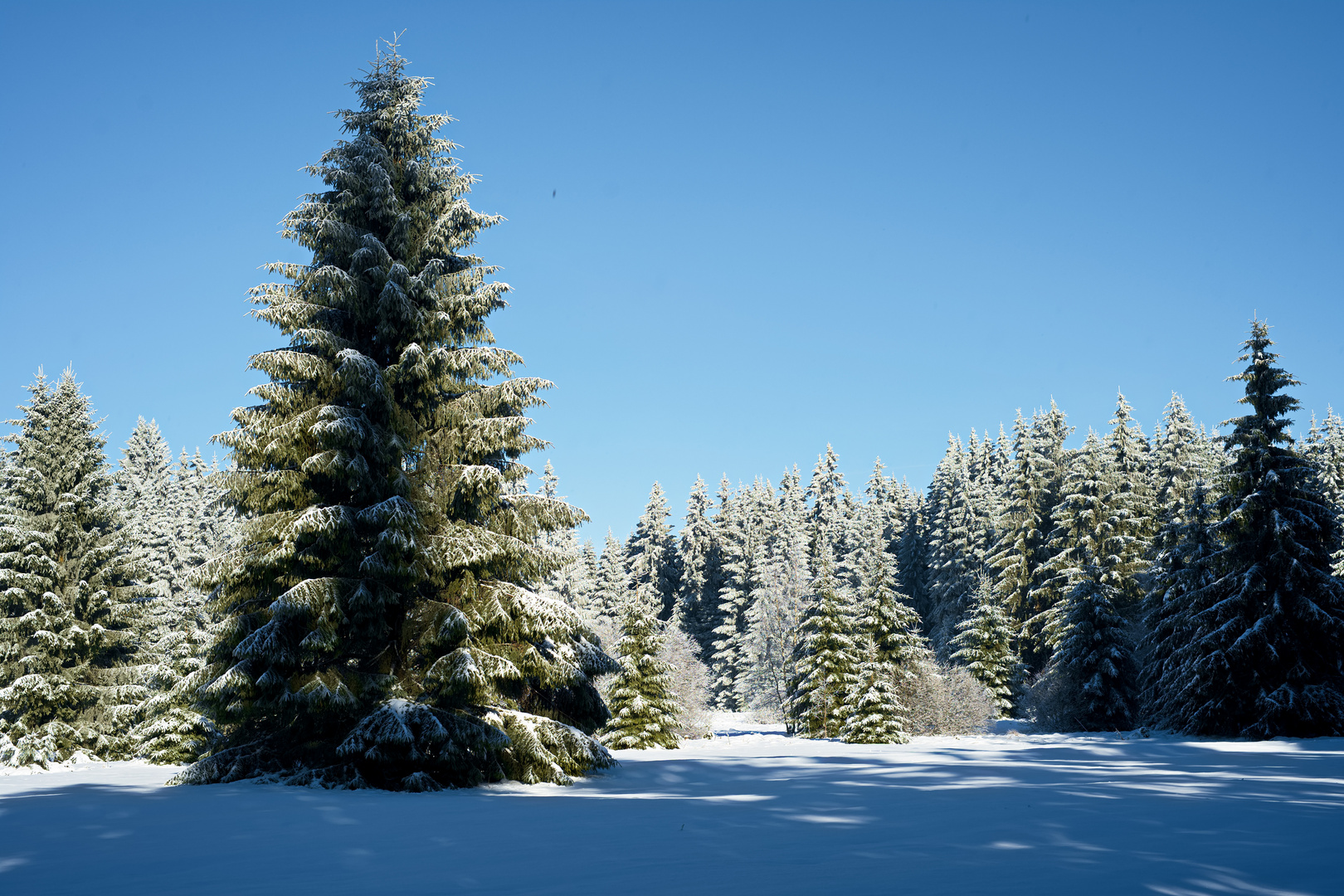 Eindrücke - Ein klarer Wintertag -