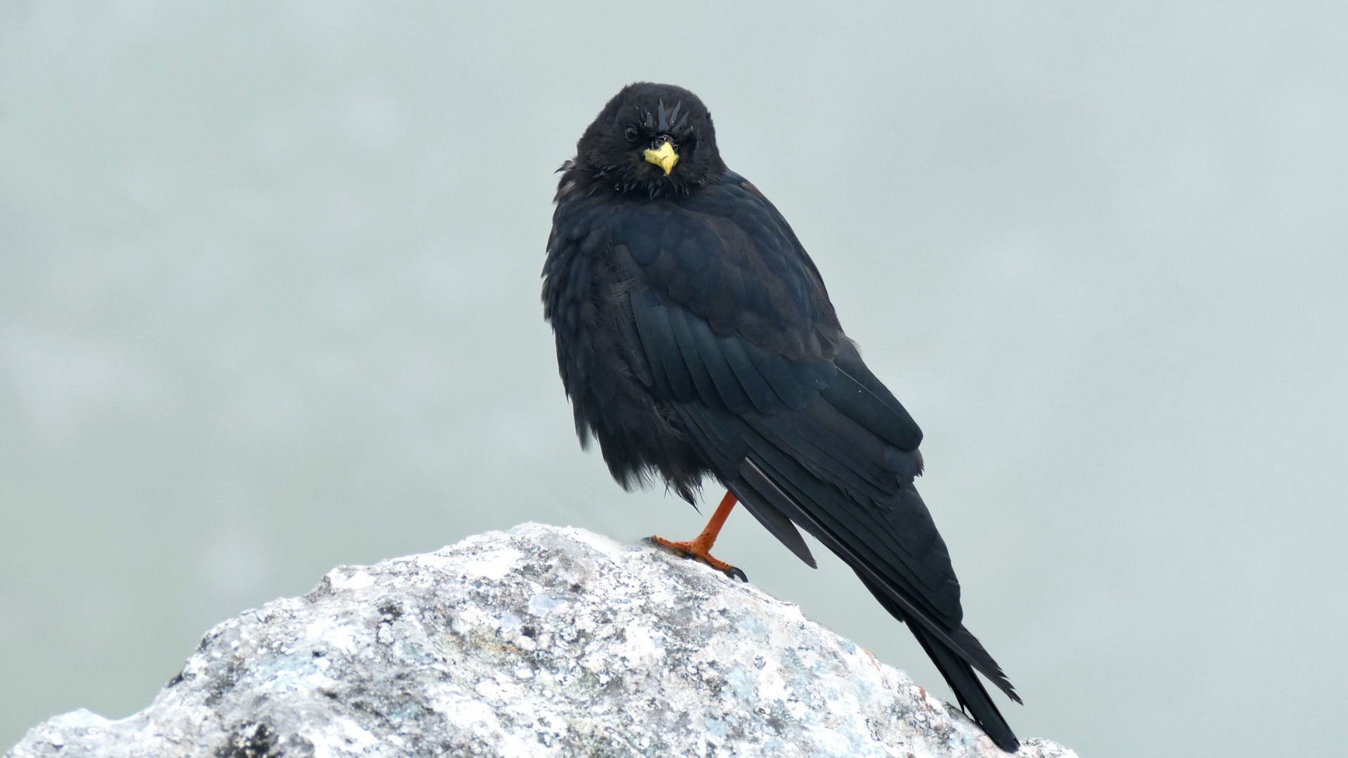 Eindrücke einer Bergtour auf die Rote Wand (Oberösterreich)