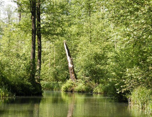 Eindrücke einer Kahnfahrt 3