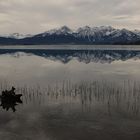 Eindrücke einer Winterwanderung...