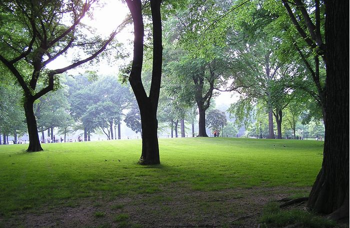 Eindrücke im Central Park