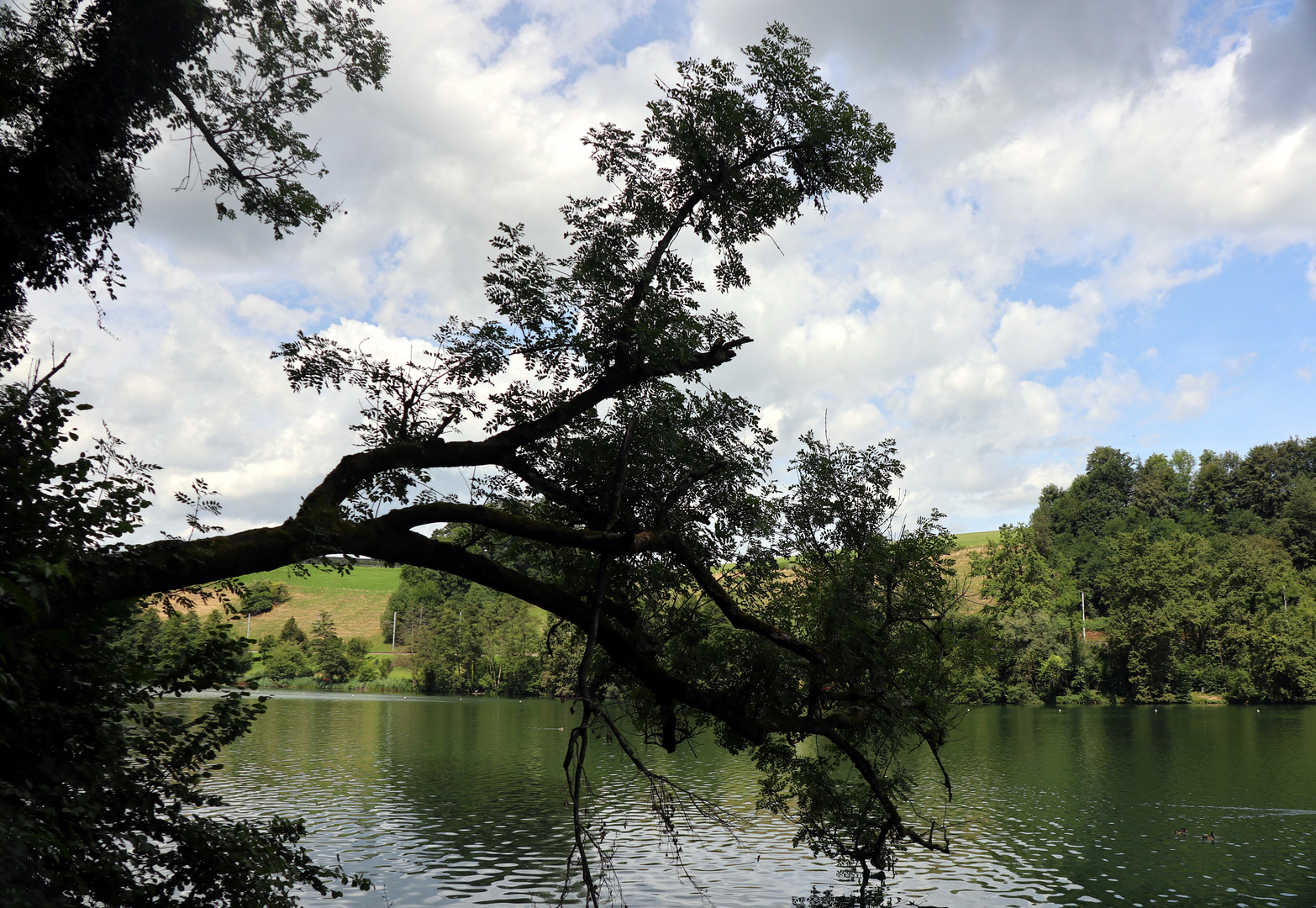 Eindrücke Rotsee  iv