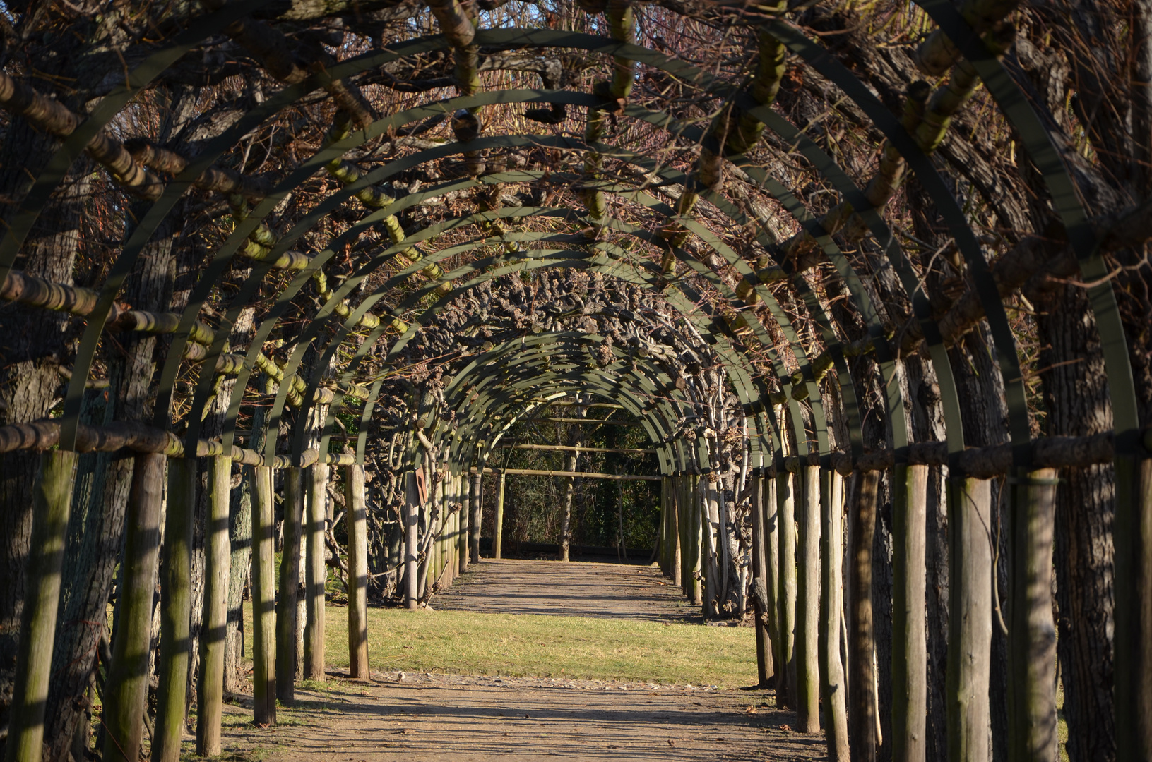 Eindrücke Sanssouci