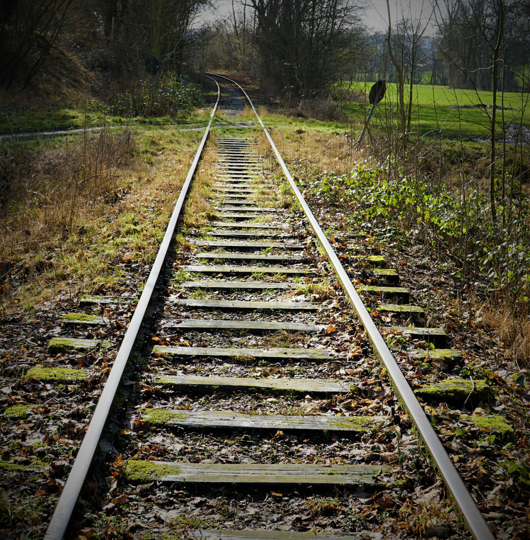 Eindrücke vom Patensteig bei Bösingfeld