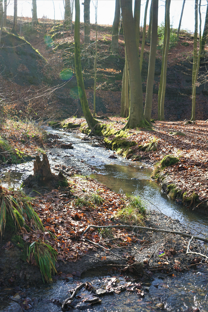 Eindrücke vom Patensteig bei Bösingfeld