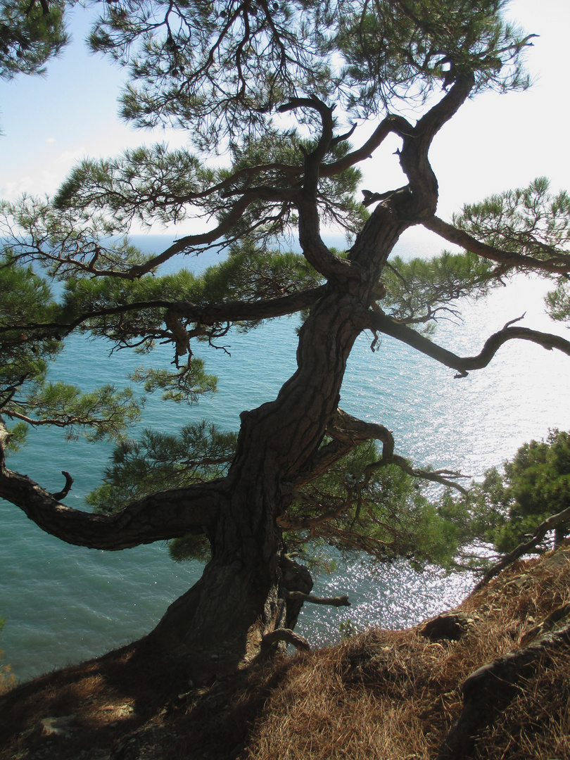 Eindrücke vom Schwarzen Meer 2