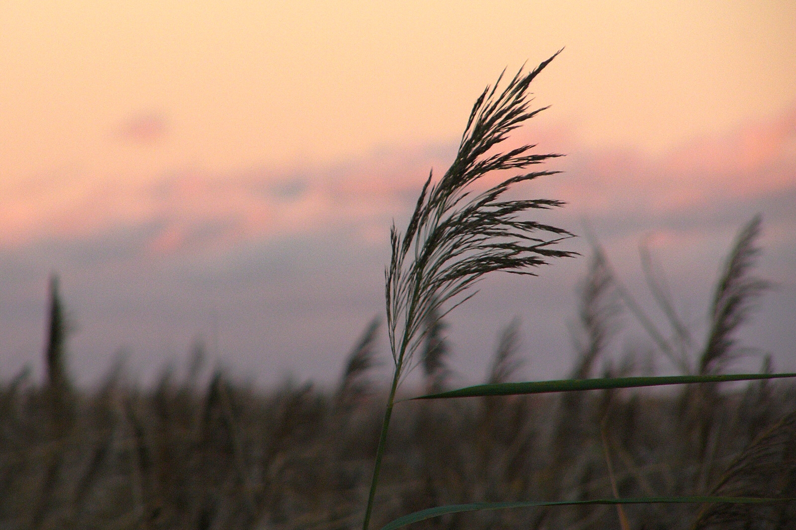 Eindrücke von der Ostsee