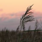 Eindrücke von der Ostsee