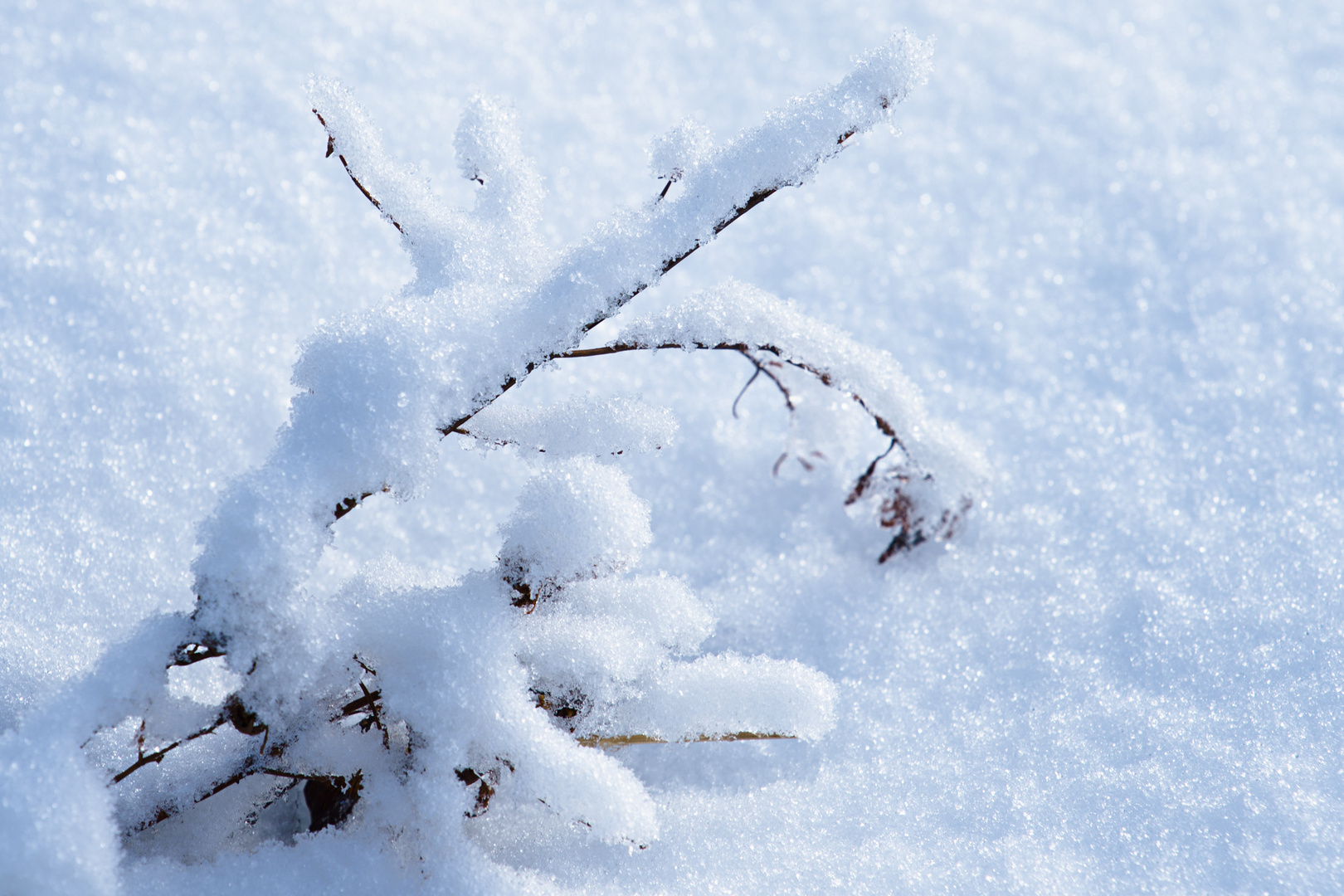 Eindrücke - Winterlandschaft -