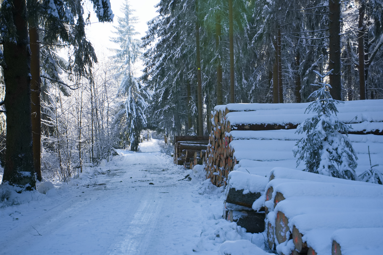 Eindrücke - Winterlandschaft -