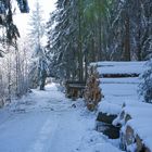 Eindrücke - Winterlandschaft -