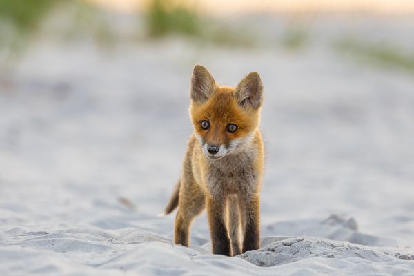 Eindrückliche Begegnung (III/IV)