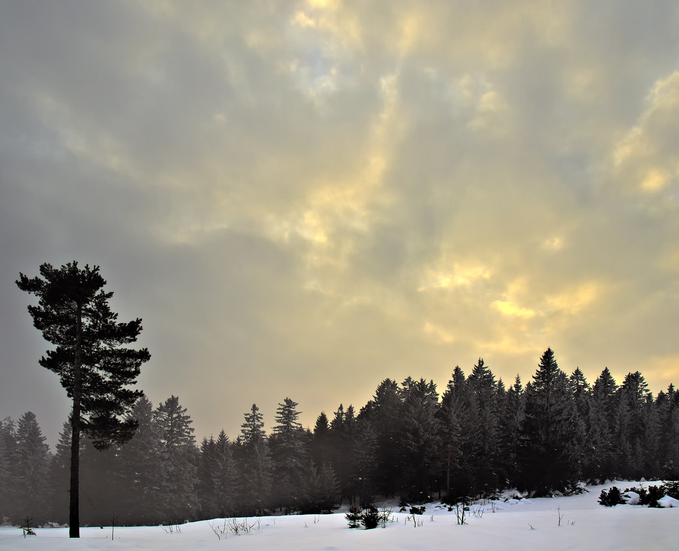 Eine Ahnung von Sonne