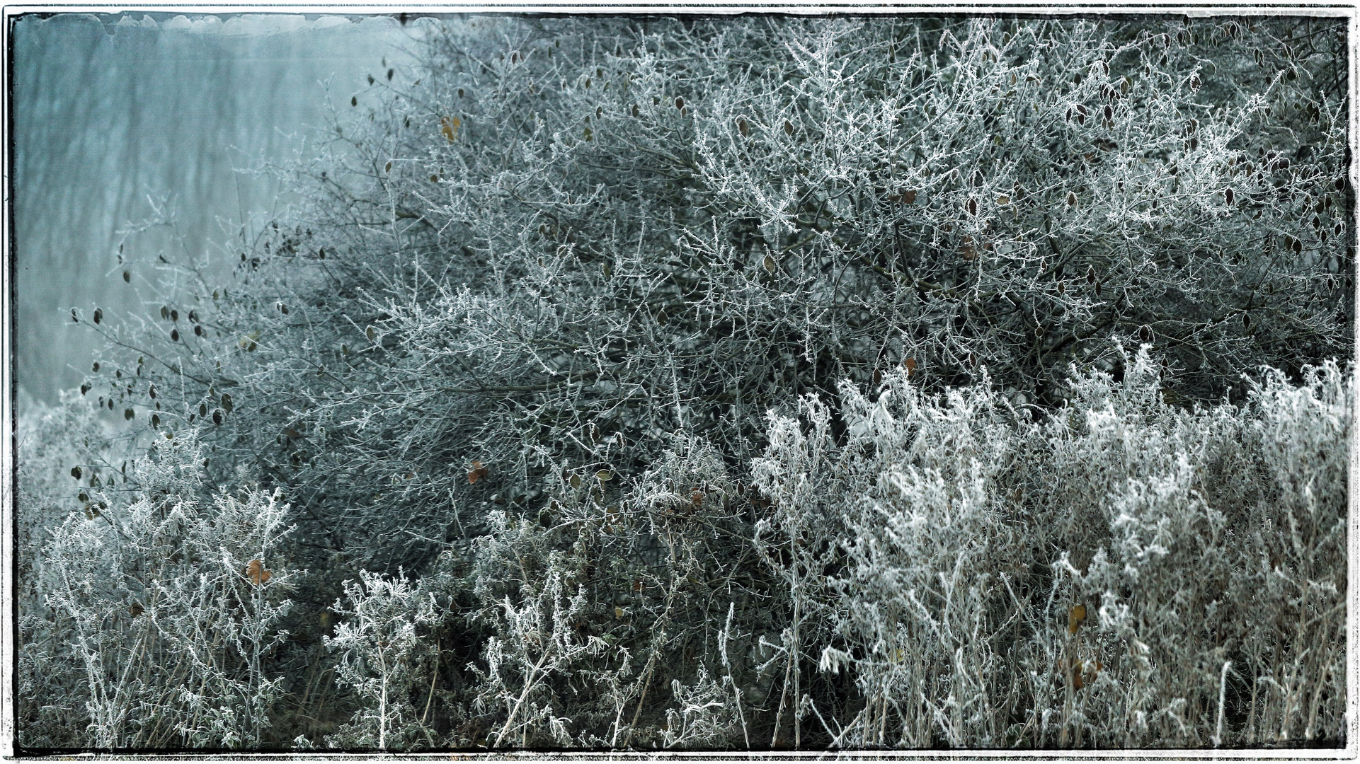 Eine Ahnung von Winter