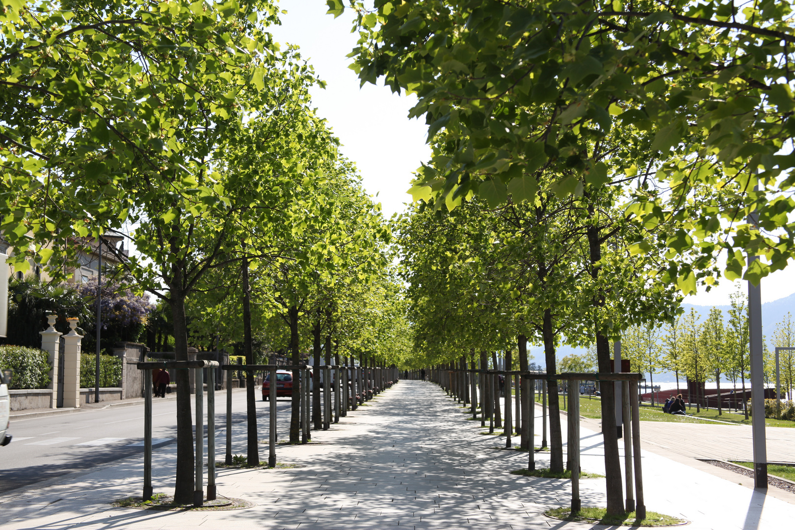 Eine Allee am Gardasee entlang der Promenade Foto & Bild gardasee, fotos, himmel Bilder auf