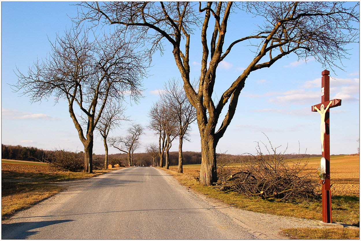 Eine Allee, die keine mehr ist ~2