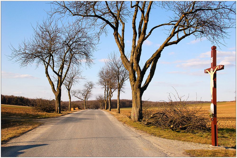 Eine Allee, die keine mehr ist ~2