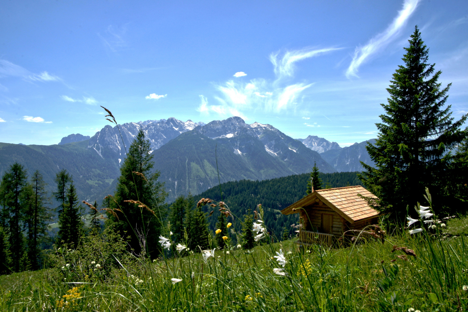 Eine Alm in Kärnten.